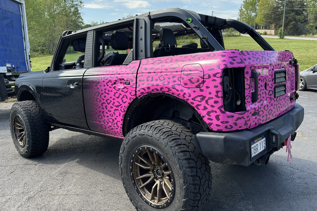 fade_panther